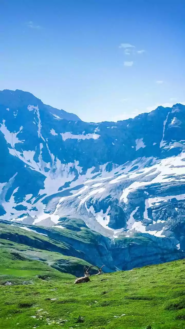 India's Alpine Wildlife Tourism Enters a New Planned Phase