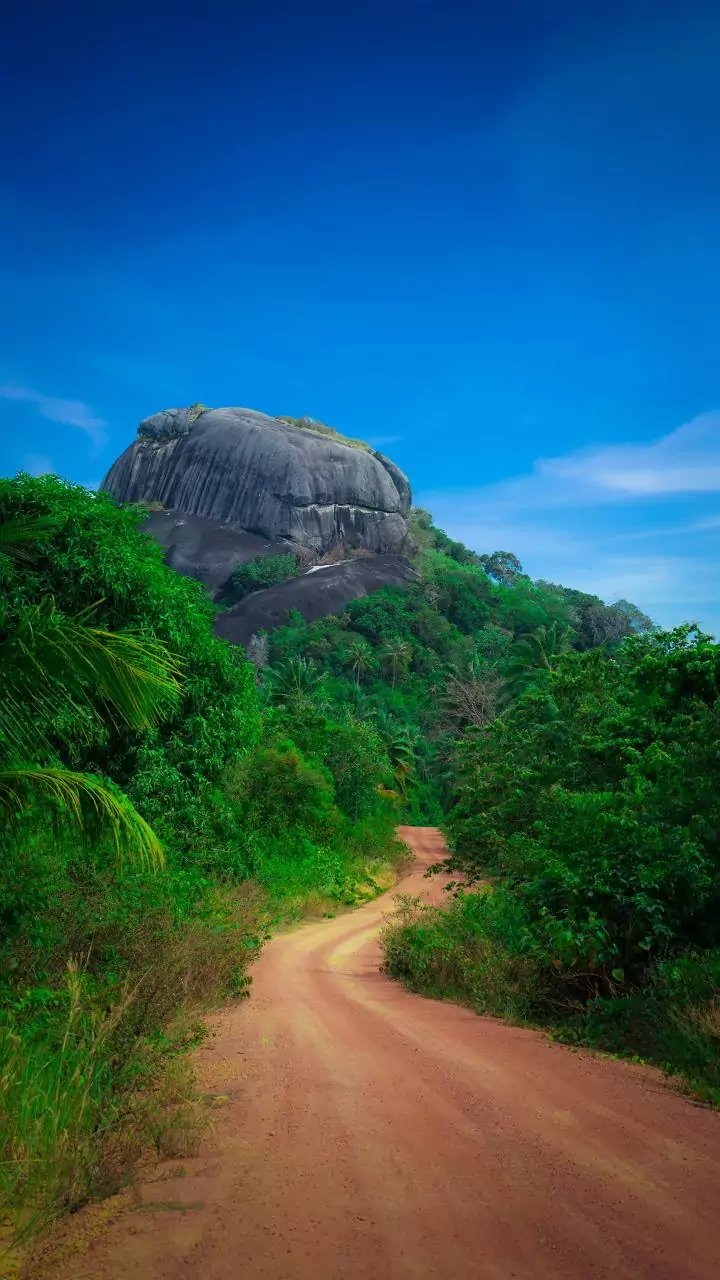 Dedicated rare earth corridors in TN, Kerala, would promote mining: CII