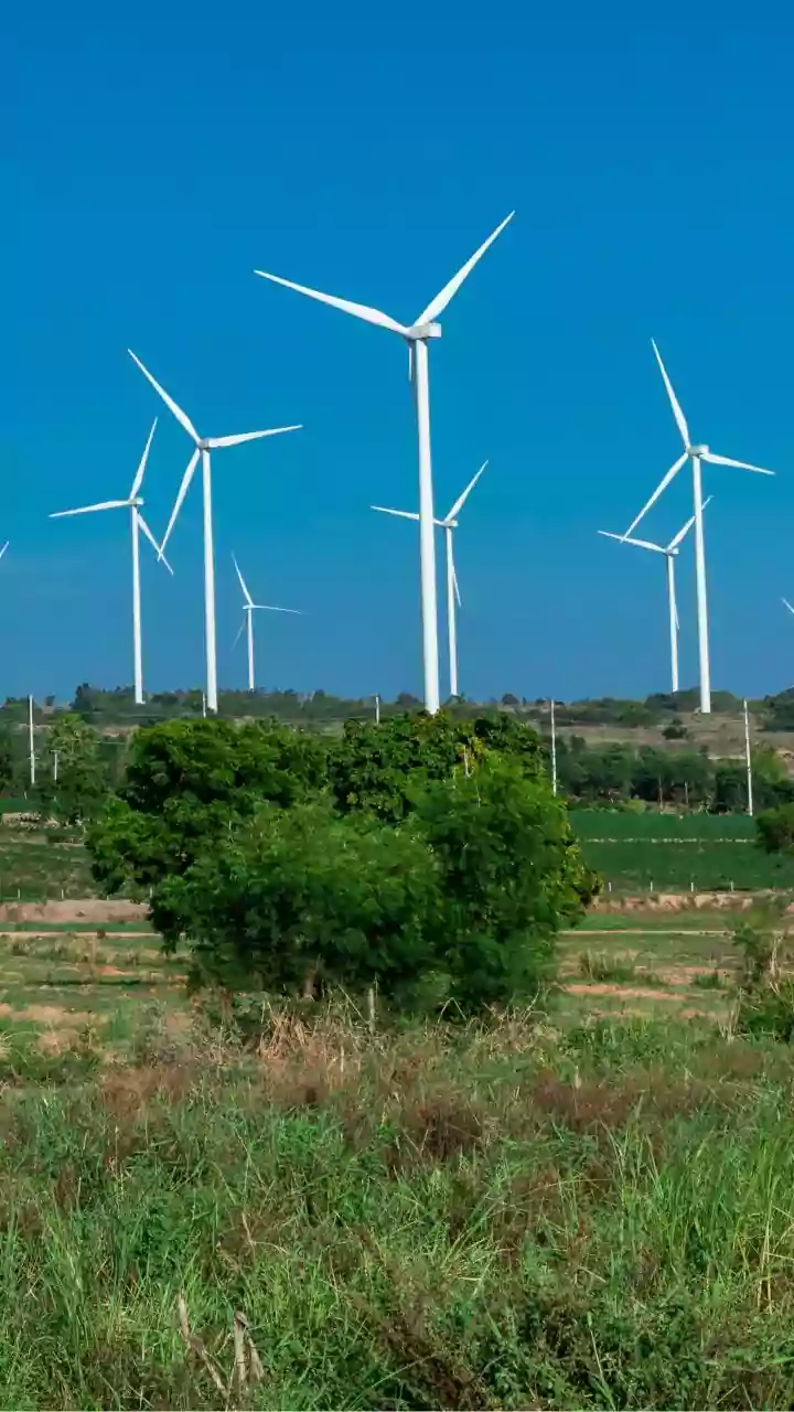 India's Agrivoltaics Push Shows the Value of Crop Shade
