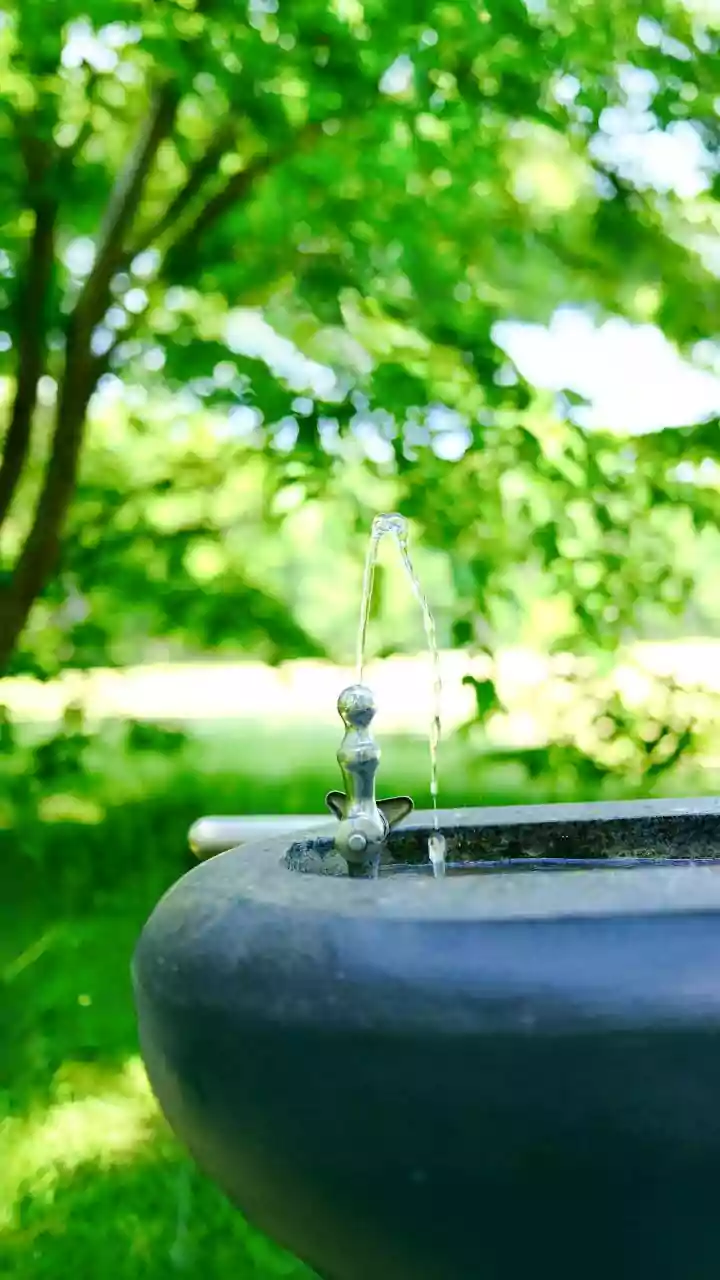 Safe Drinking Water Tips for Monsoon Season