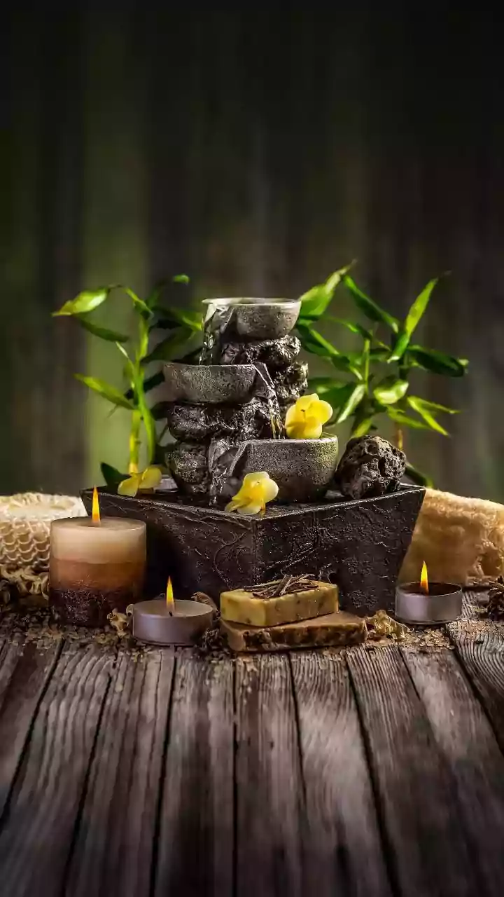 Ayurveda: Unlocking the Ancient Indian Science of Life for Holistic Well-being