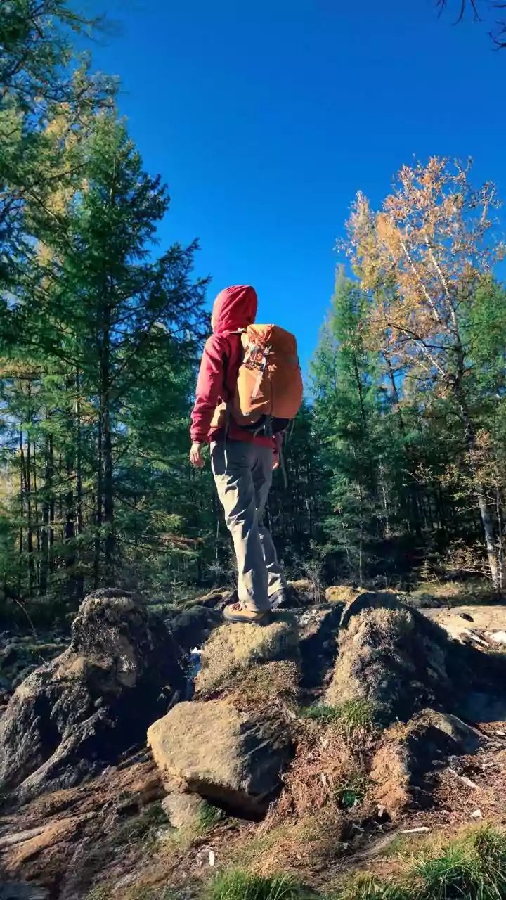 Tragic Hike: Bear Attack's Final Moments