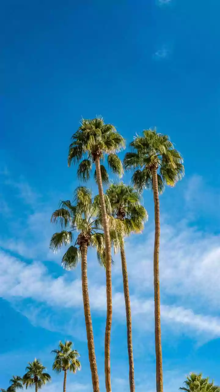 Scottsdale's Sunny Escape: Your Ultimate 4-Day Arizona Getaway Guide