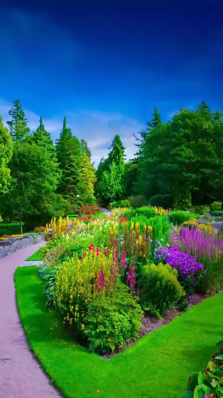 What is landscape gardening?