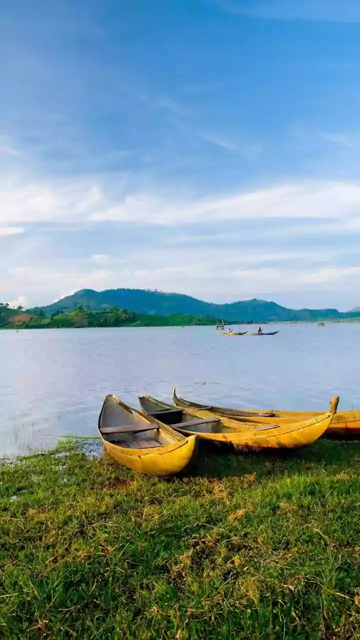 How Sacred Community Rituals Elevate Historic Snake Boat Racing Heritage Across Backwater Villages