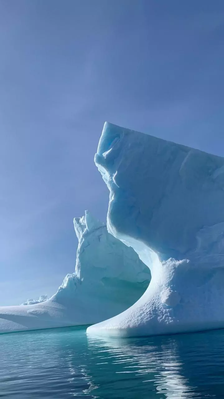 Ice from Earth's warm period found in Antarctica