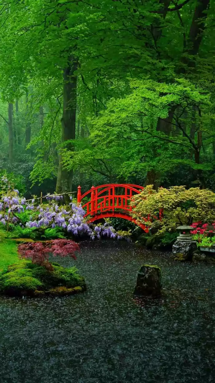 Delhi Garden Visit Guide: Making An Amrit Udyan Trip More Rain-Ready