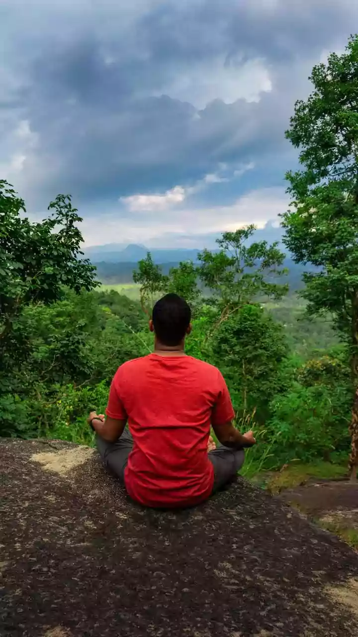 Breaking the Trend Cycle: Finding Peace in a Fast World