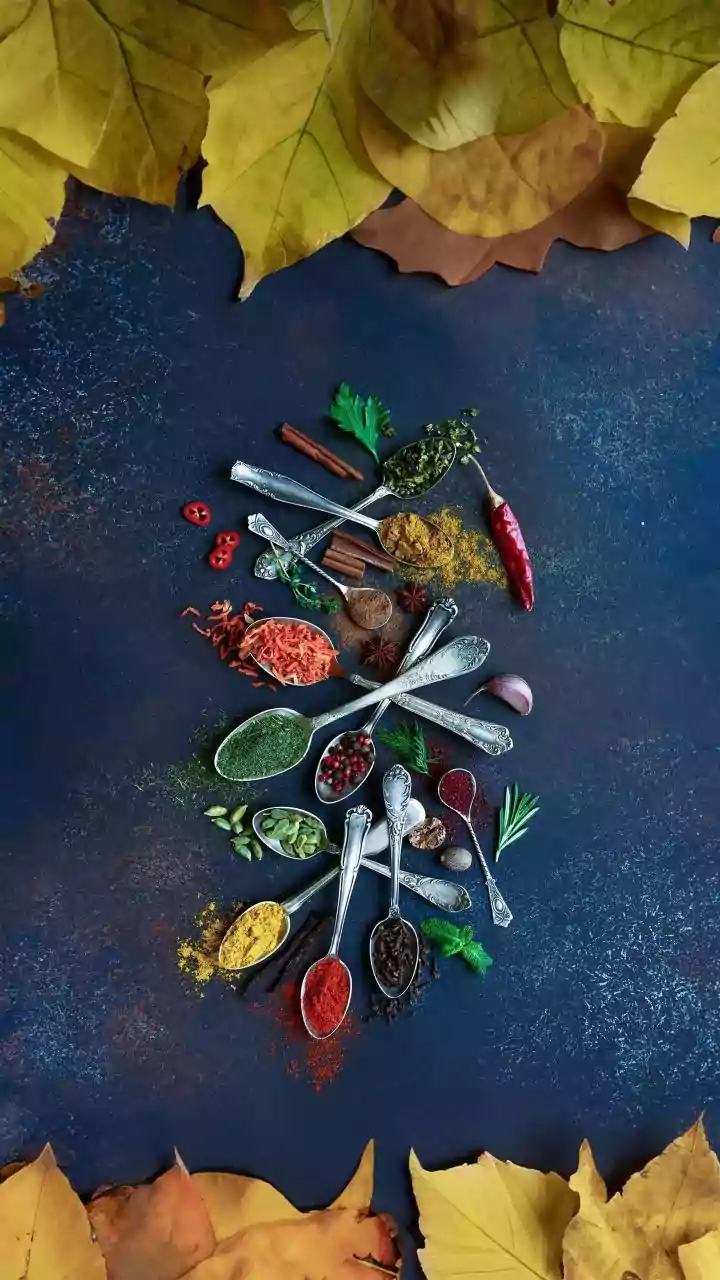 Spice Route: Culinary Delights & Indian Food Trends