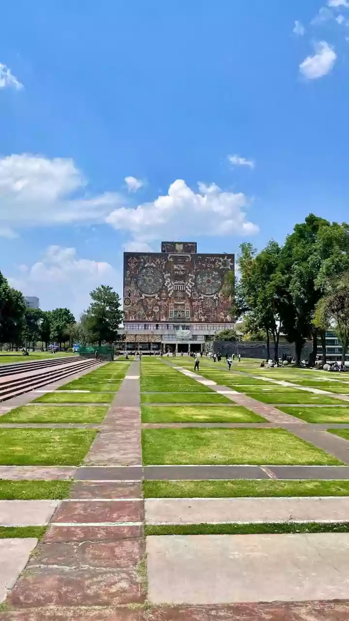 Outdoor Libraries Can Support Public Culture beyond Formal Buildings