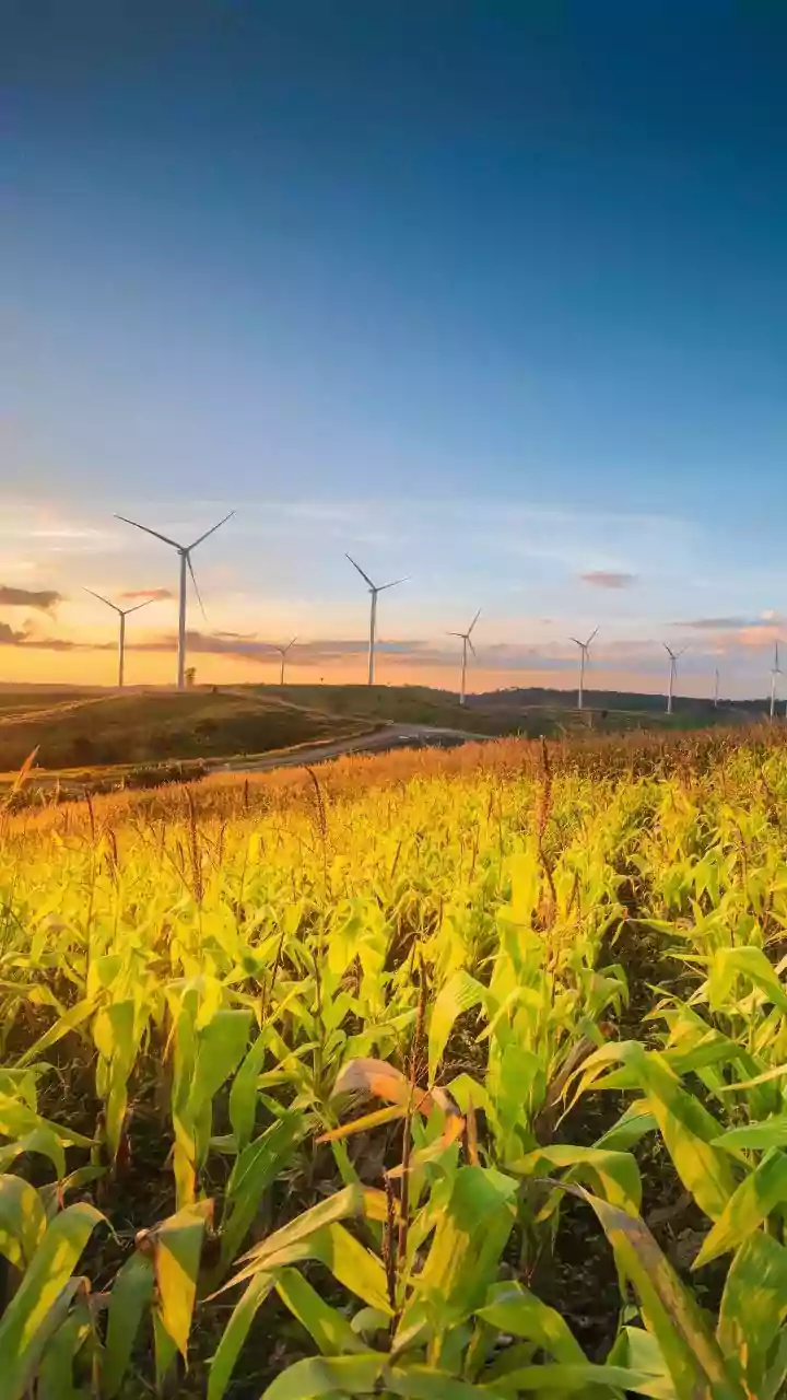 India's Agrivoltaics Push: Crop Shade, Water Use and Farm Income Define Agrivoltaics Assessment