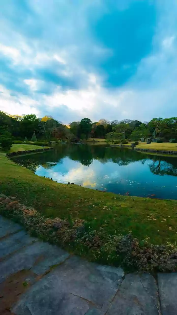 5 Japanese Techniques for Calm & Stress-Free Living