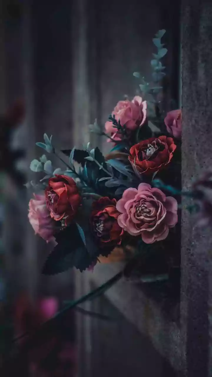 AQI update—know whether today’s air is safe for evening travel.