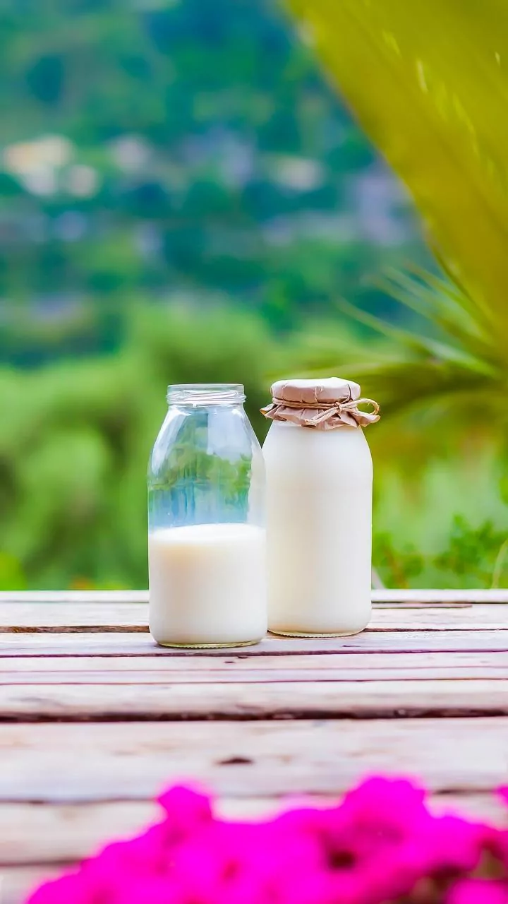 How Indian Dairy Farms Can Prepare For Hotter And More Humid Conditions