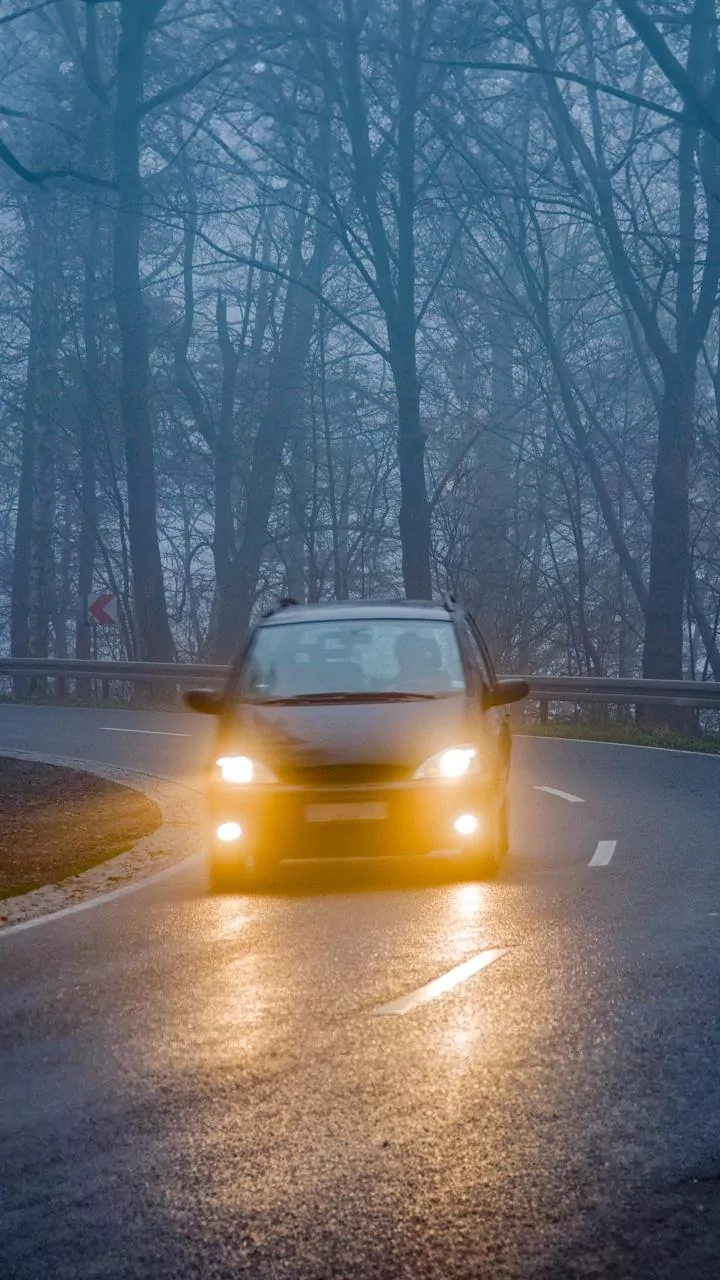 School Holidays: Bareilly Schools Up To Class 8 Closed For 3 Days Due To Dense Fog, Cold Wave