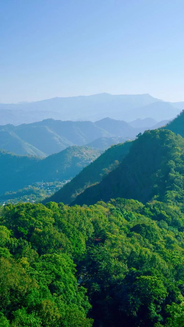 Gehlot changes profile pic to 'Save Aravalli', asks Centre to reconsider definition