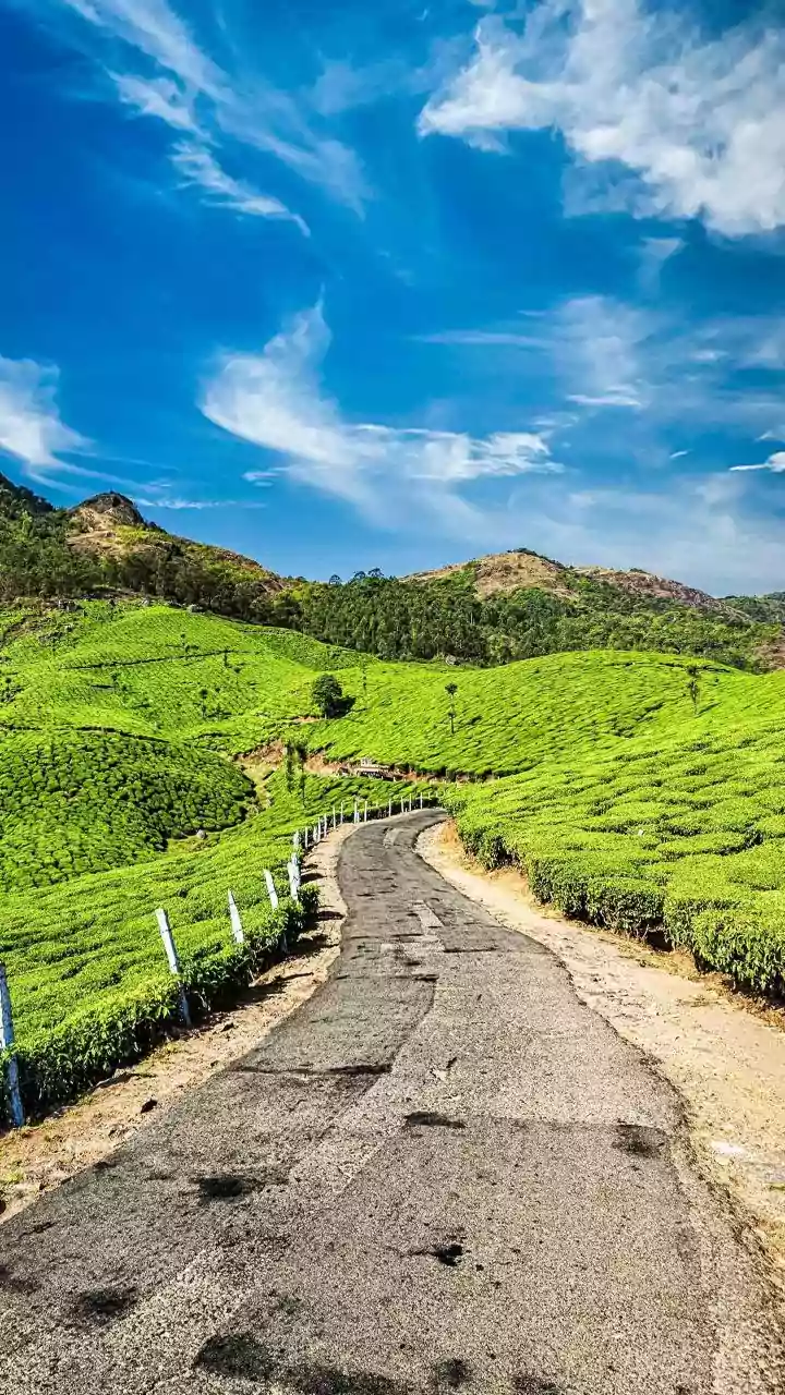 How To Plan Budget Western Ghats Driving Trips From Nearby Metro Cities