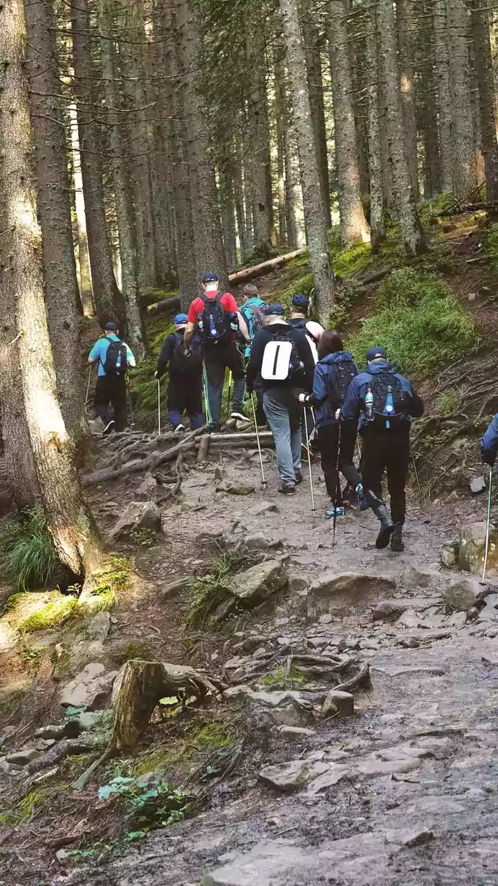 Canadian Rockies Hiking Trails: Why Canadian Rockies Trails Need Weather Planning