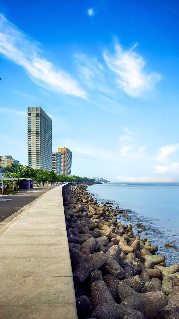 Navi Mumbai Airport: How To Reach NMIA From South Mumbai? Here Is A Complete Step By Step Driving Guide