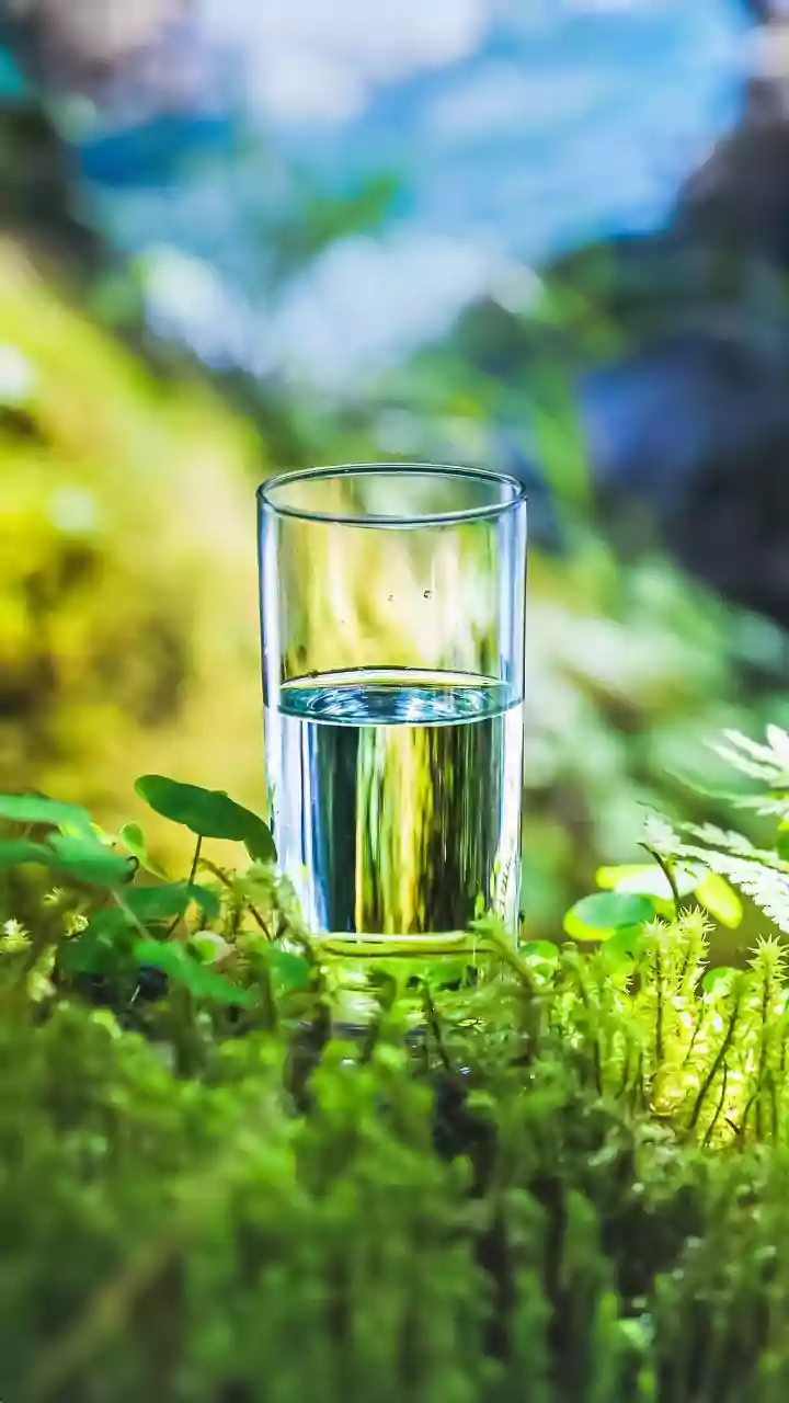 RO Water for a Decade: Unpacking Potential Health Impacts Without Minerals