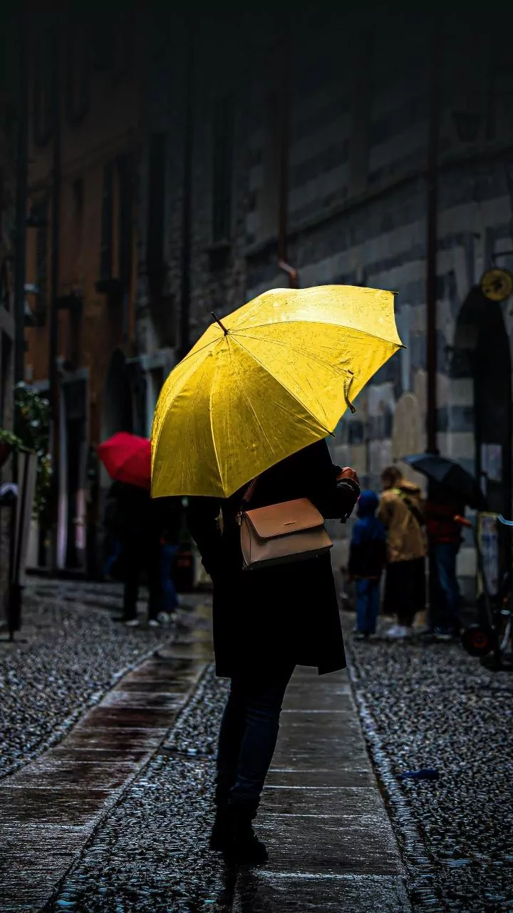How To Read IMD Rain Warnings When Planning A City Commute