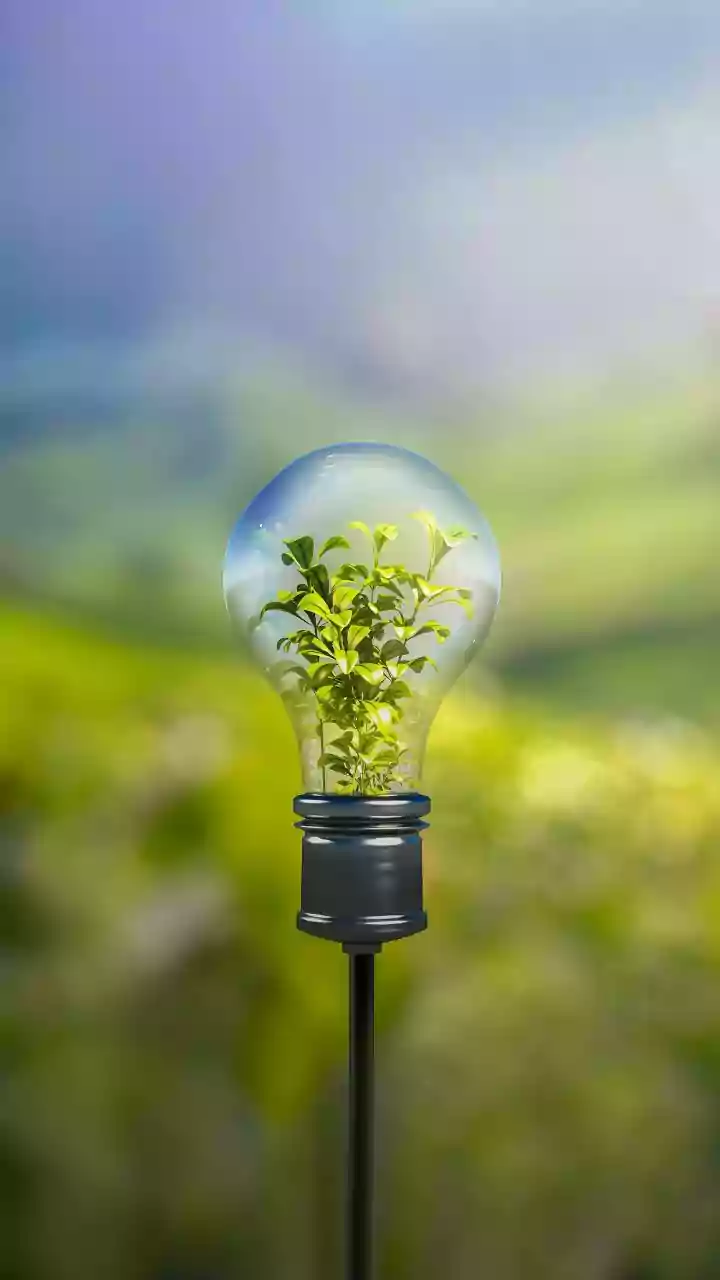 Plant-Based Battery Breakthrough: Agricultural Waste Powers Faster E-Bike Chargers