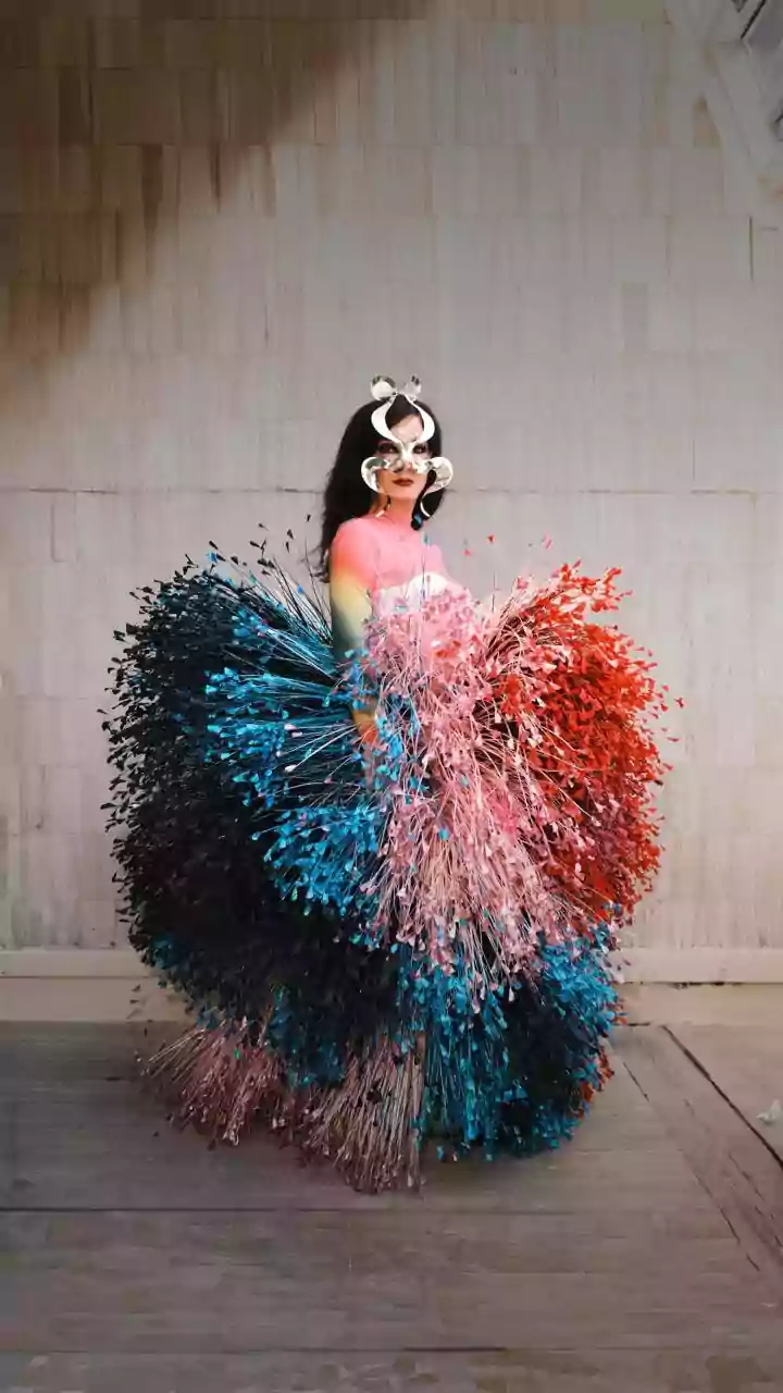 Björk vai comandar rave na Islândia durante eclipse solar