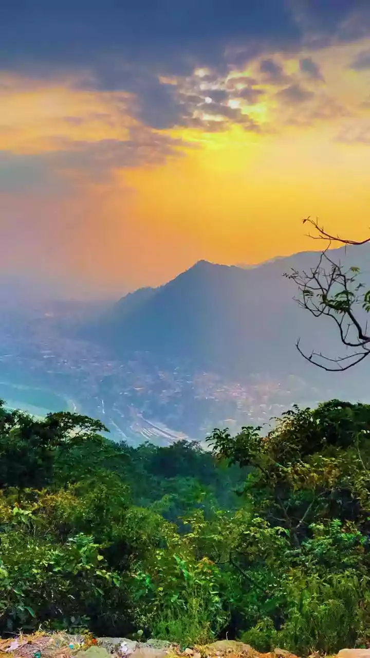 Anshika Singh's Bold Leap: From Gurugram Burnout to Dehradun Bliss