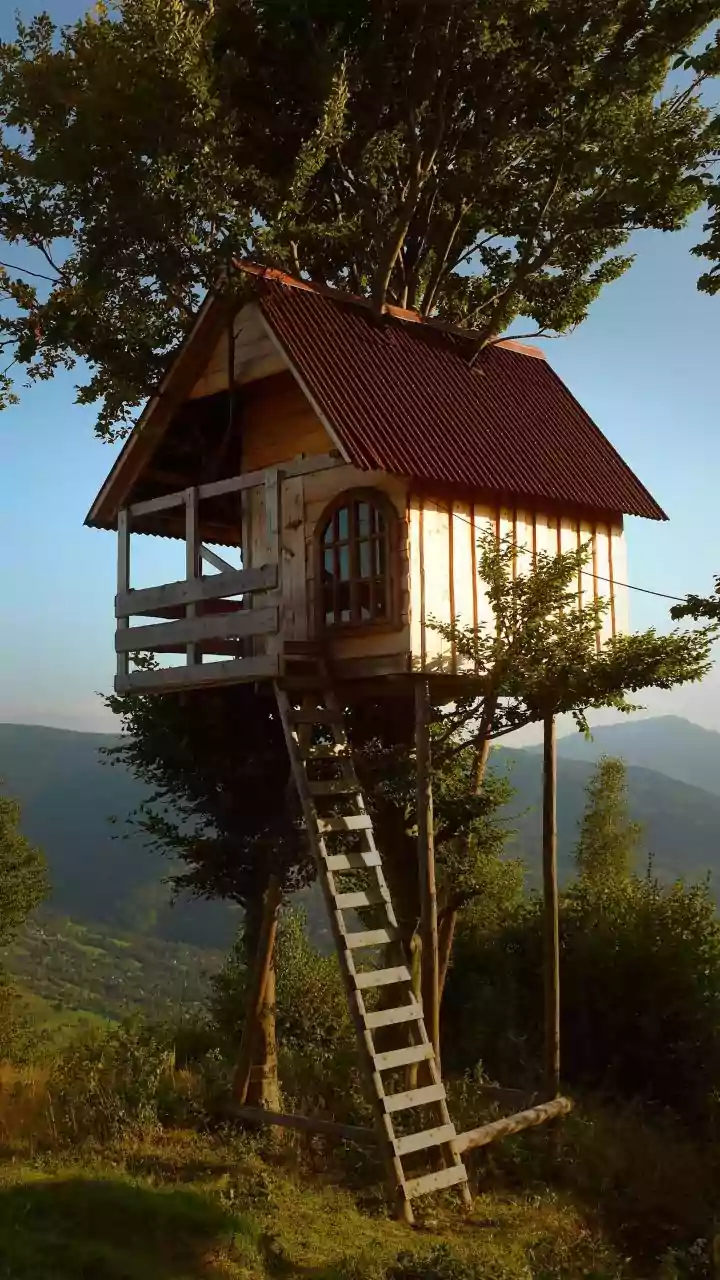 Newlyweds Book Remote Luxury Treehouses In Wayanad Coffee Estates Now