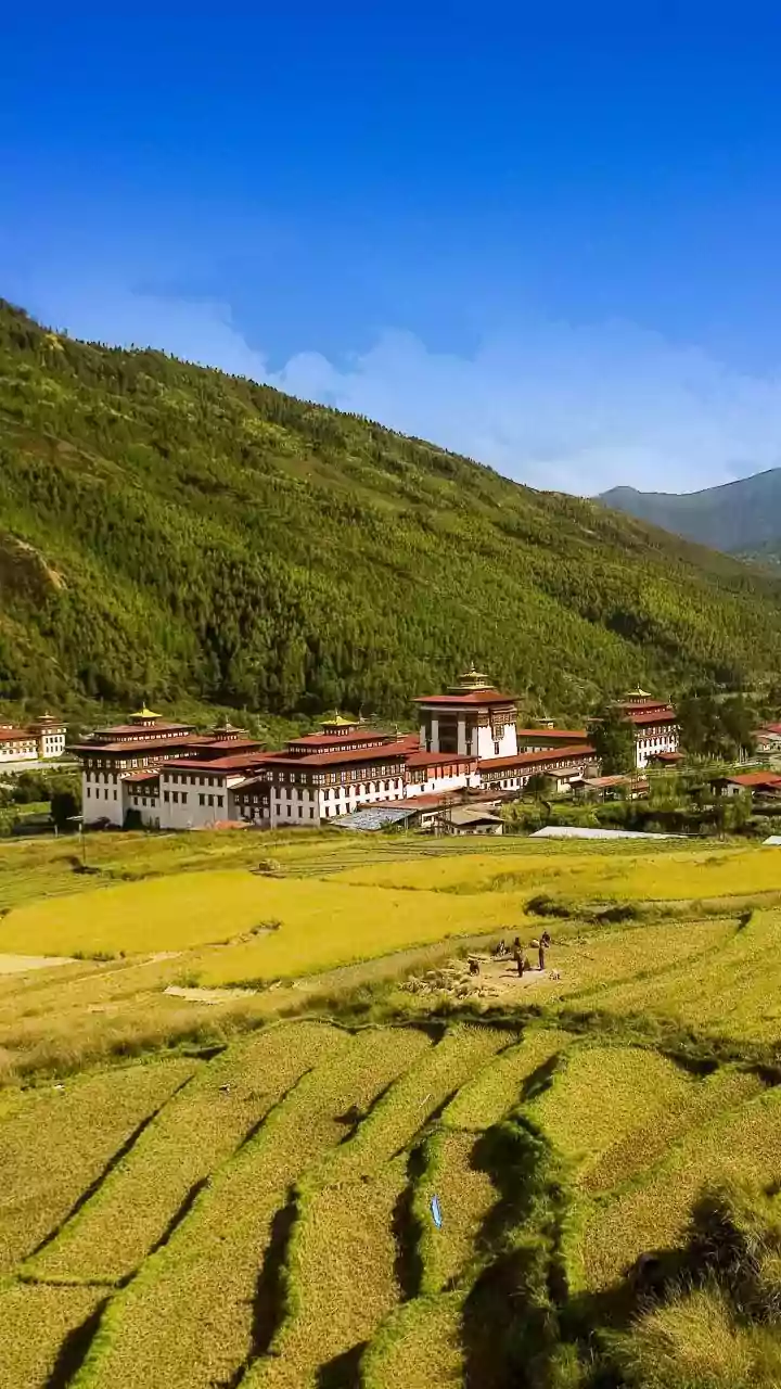 Bhutan King Leads Mass Prayer For Delhi Blast Victims as PM Modi Attends Ceremony in Thimphu