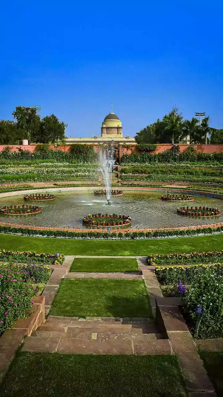 Amrit Udhyan 2026: Your Essential Guide to Delhi's Blossoming Oasis