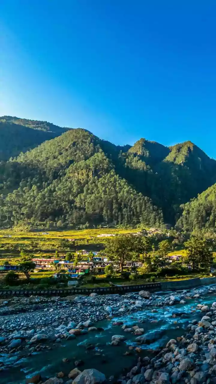 Nagaland NDPP may decide on NPF merger soon