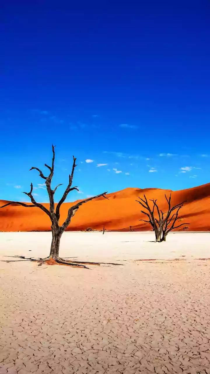 Hikers, you must explore this unique trail in Namibia