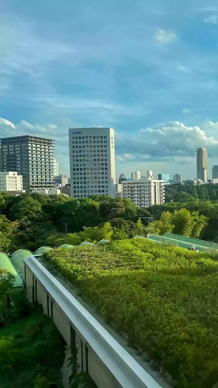 Rooftop Vegetable Patches Changing How Indian High-Rise Cities Eat Now
