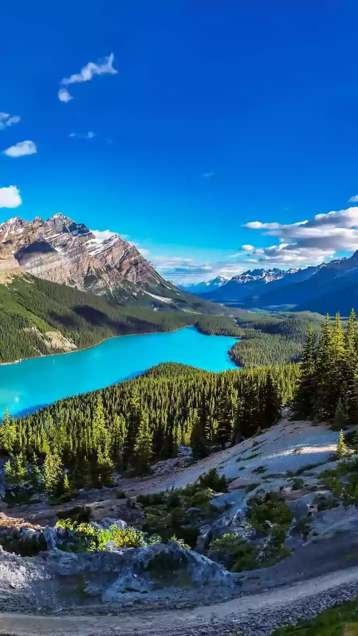 Canadian Rockies Hiking Trails: Alpine Lakes and Peaks Along Popular Trail Networks