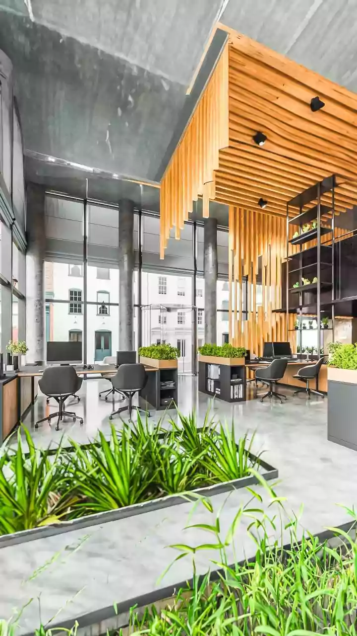 Google's Bengaluru Campus: A Viral Peek Inside the 'Luxury Hotel' of Workspaces