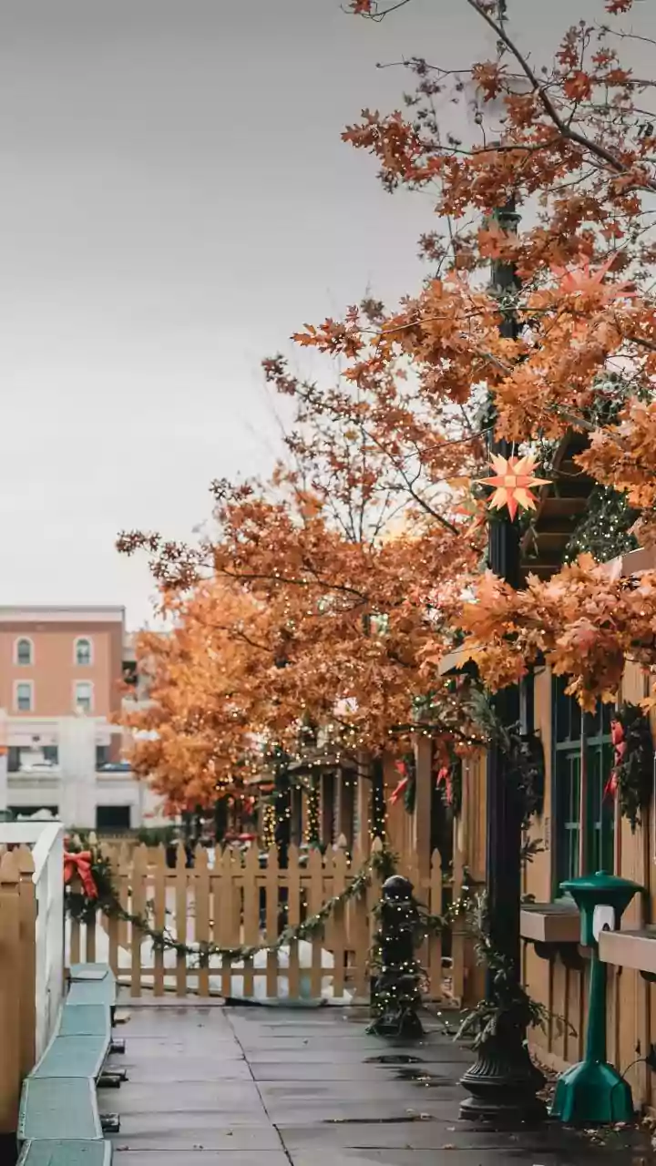 Australia's Cosiest Towns: Autumn Adventures Await!