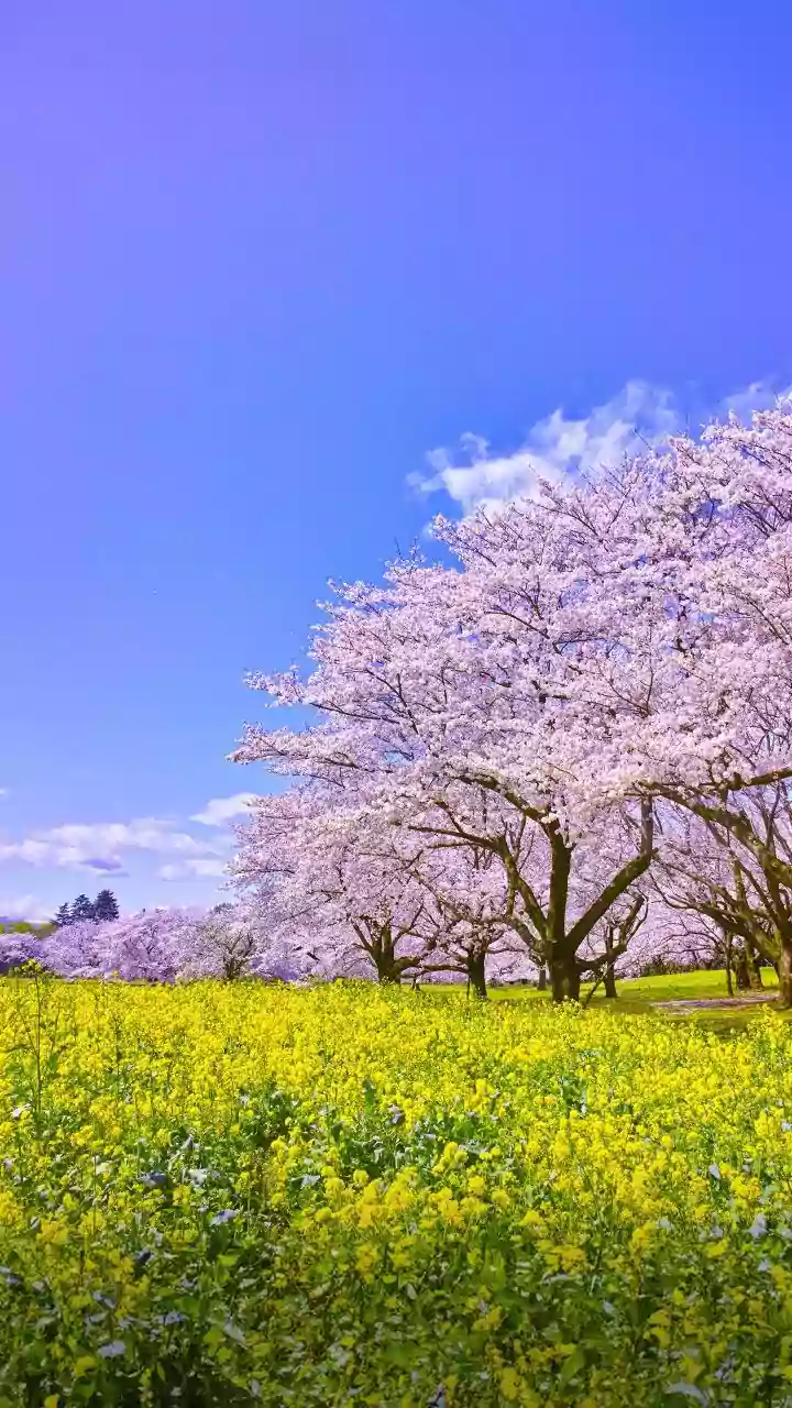 Lighter closets, cleaner desks – reset season begins