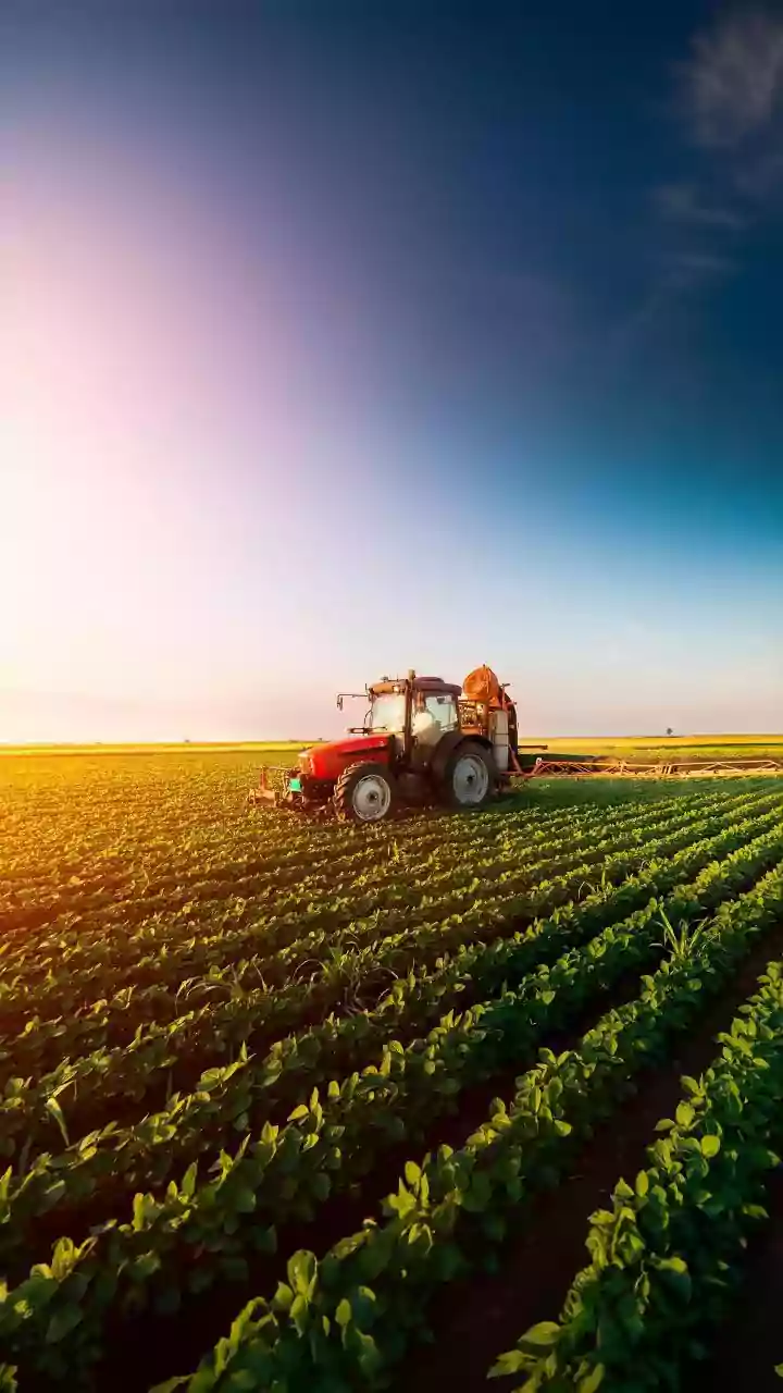 Punjab Farmers Save Season Harvests Using Low-Cost AI Smartphone Crop Sensors