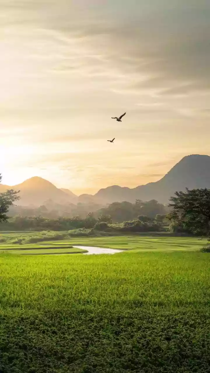 Understanding and Maintaining Mental Well-being