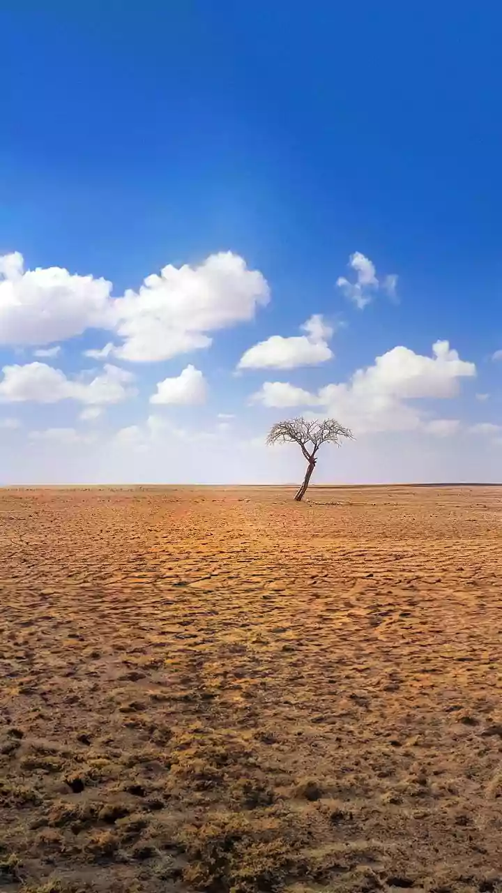 A Drier September Could Put More Focus On Household Water Conservation