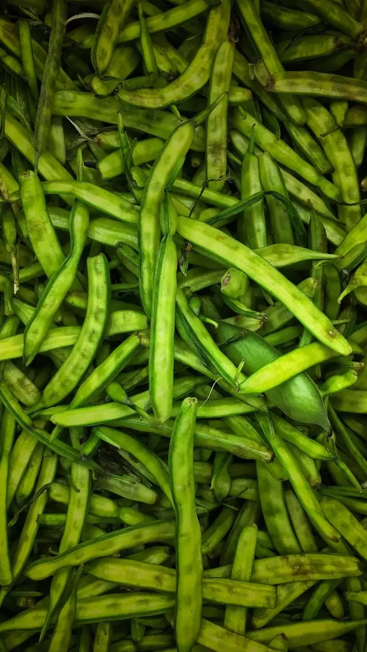 Guar gum futures fall on weak demand