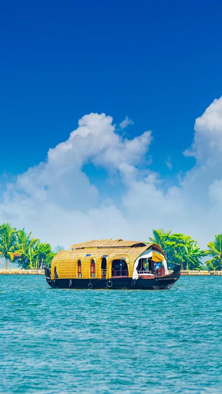 Kerala: Missing 19-Year-Old Aviation Student Found Murdered; Boyfriend Confesses To Killing Her In Drunken Rage