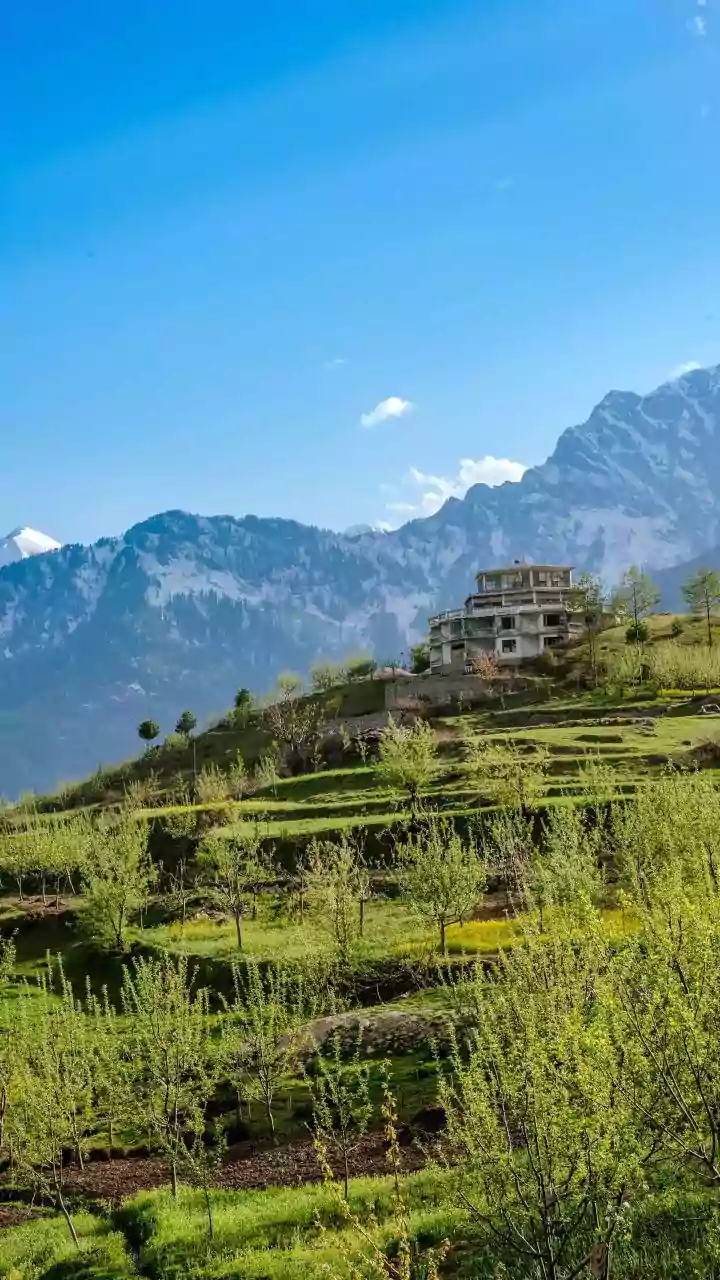 How Short Vacation Patterns Drive High Demand For Boutique Homestays Near Metros
