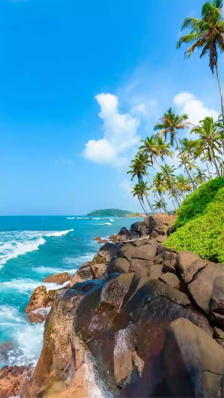 71 per cent turn-out recorded in Goa Zilla Panchayat elections