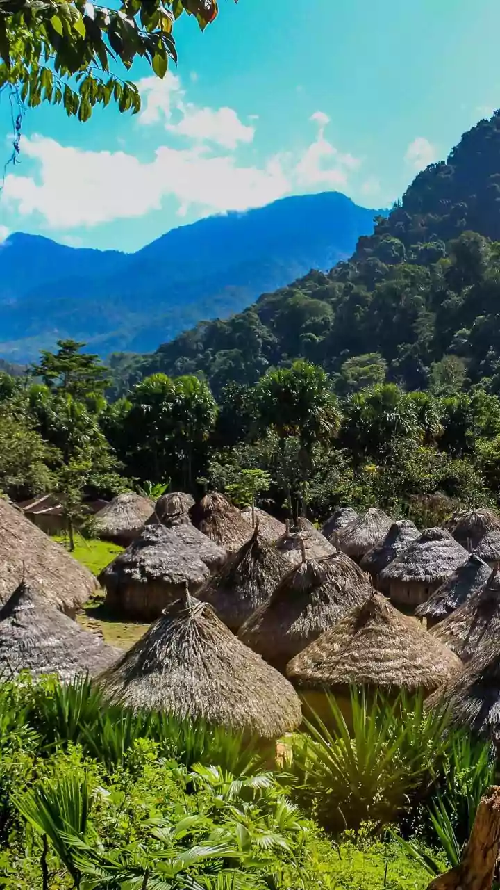 Arunachal's Mago Road Trip Rewards Travellers Who Plan Ahead