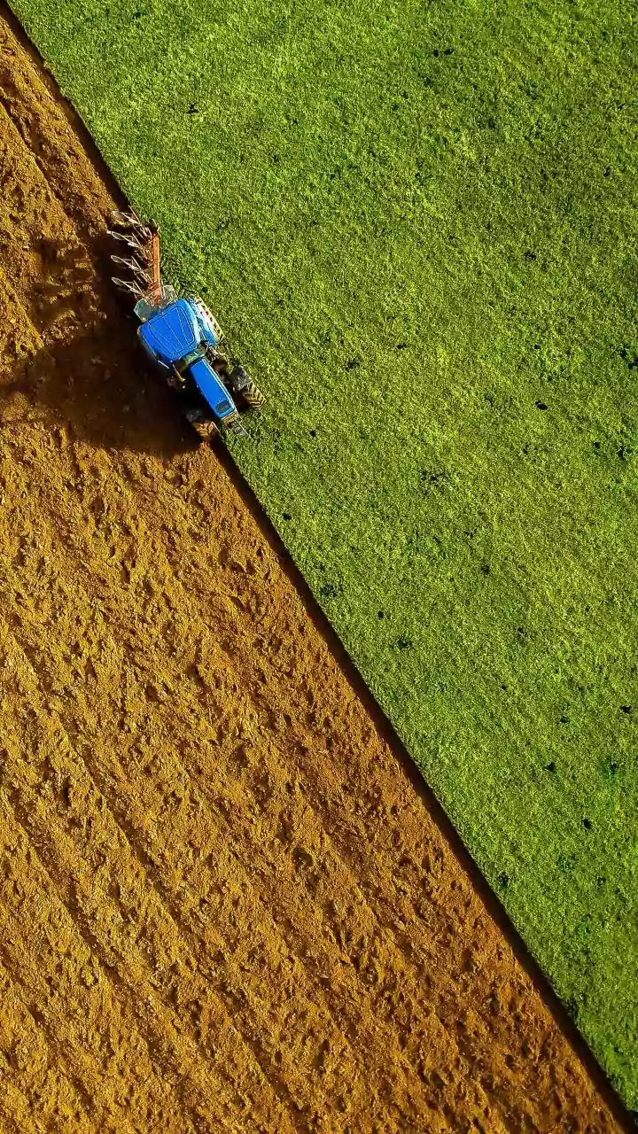 India's Rain Pattern Could Shape Food Inflation This Year