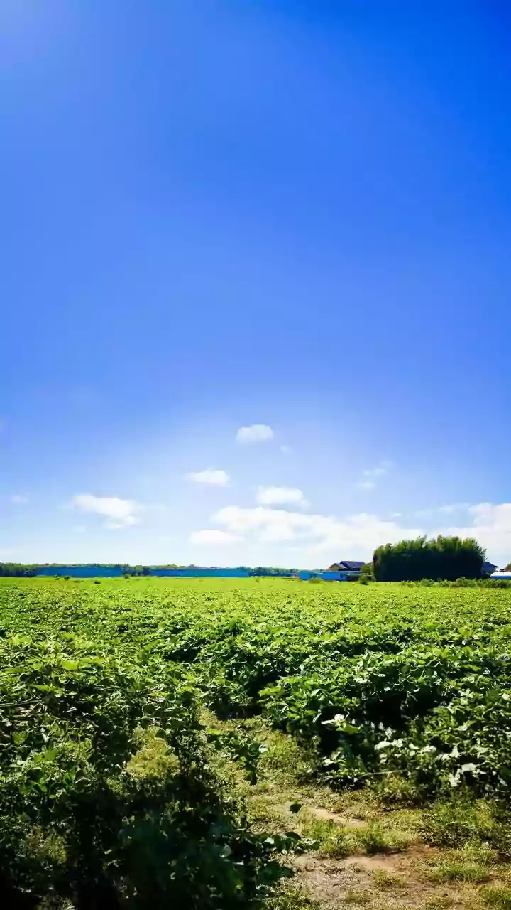 Visiting Latvia? Relax in the scenic countryside