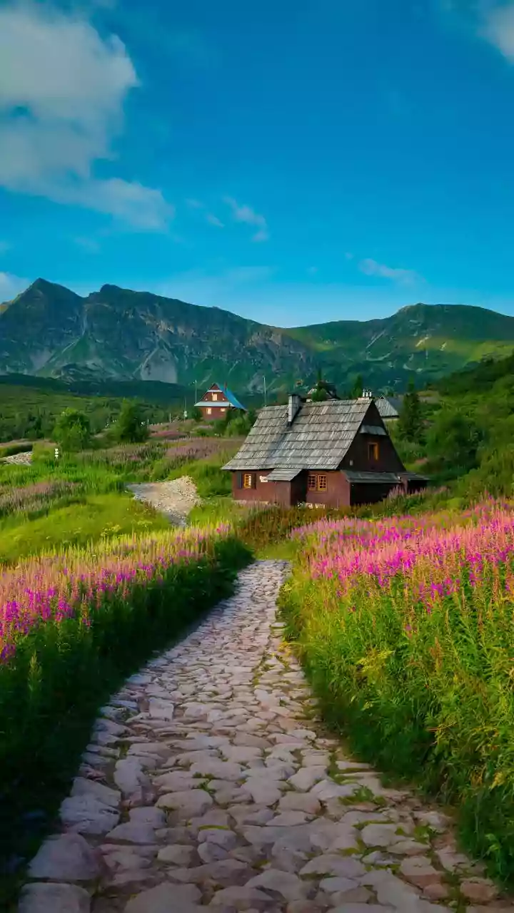 Clear-air mountain spots offering calm December mornings