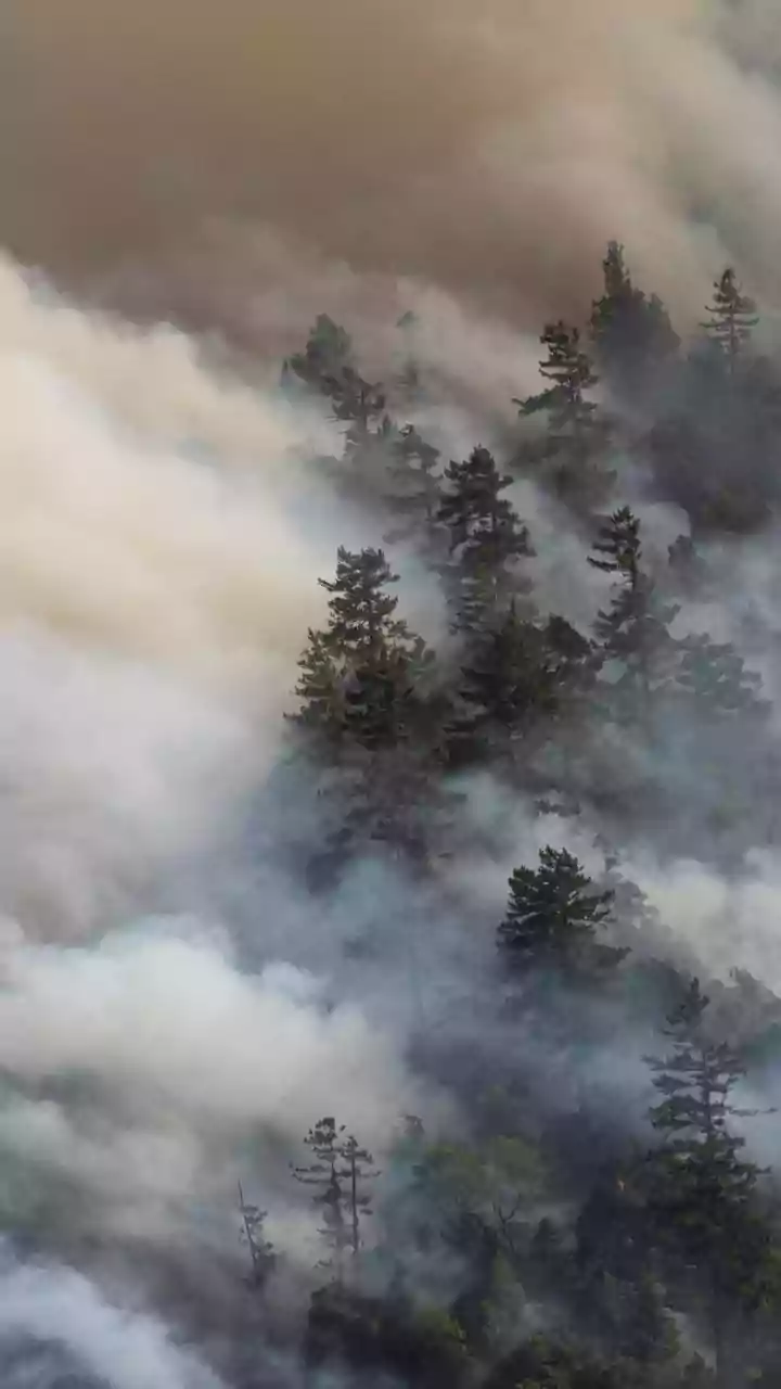 Expanding Forest Fire Season in Uttarakhand: Women Lead the Fight